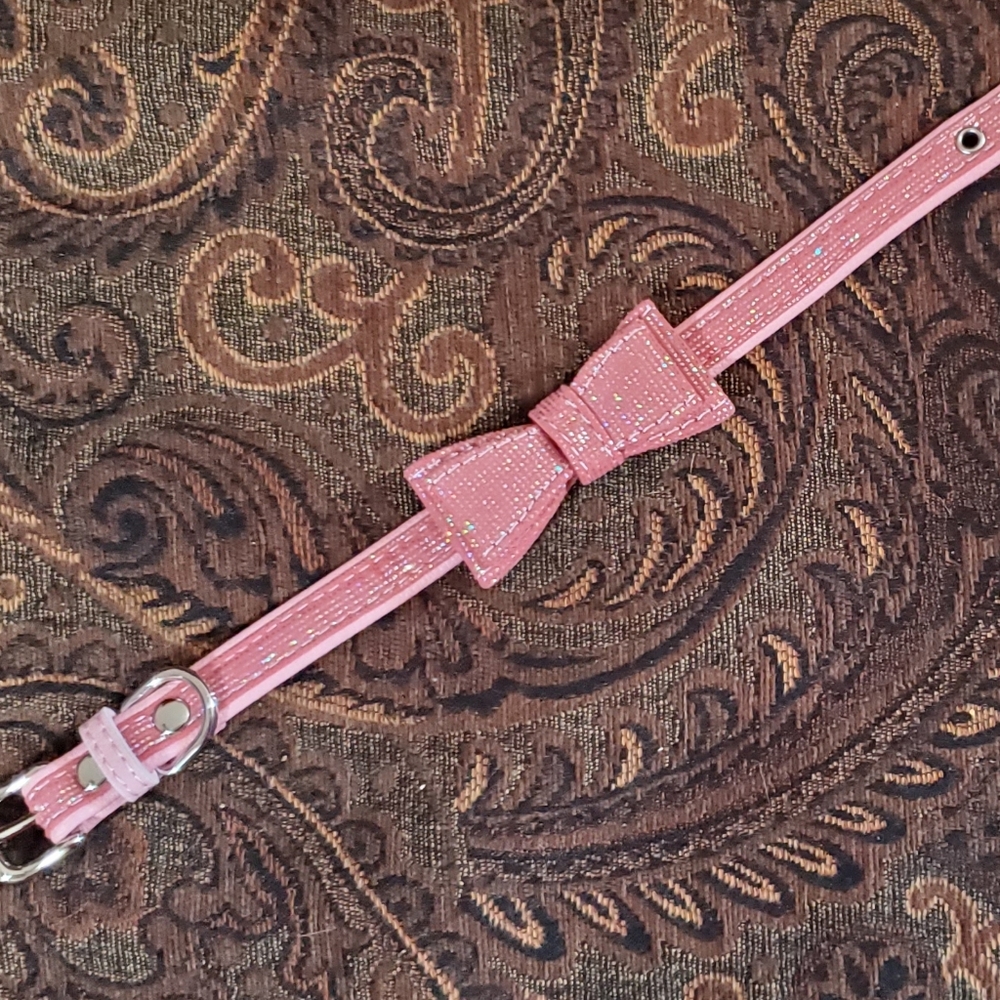 Small Pet Doggie Collar